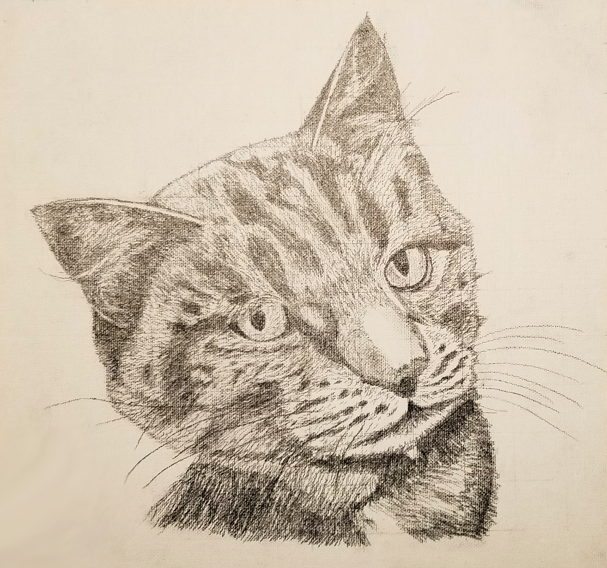Transferred Sketch