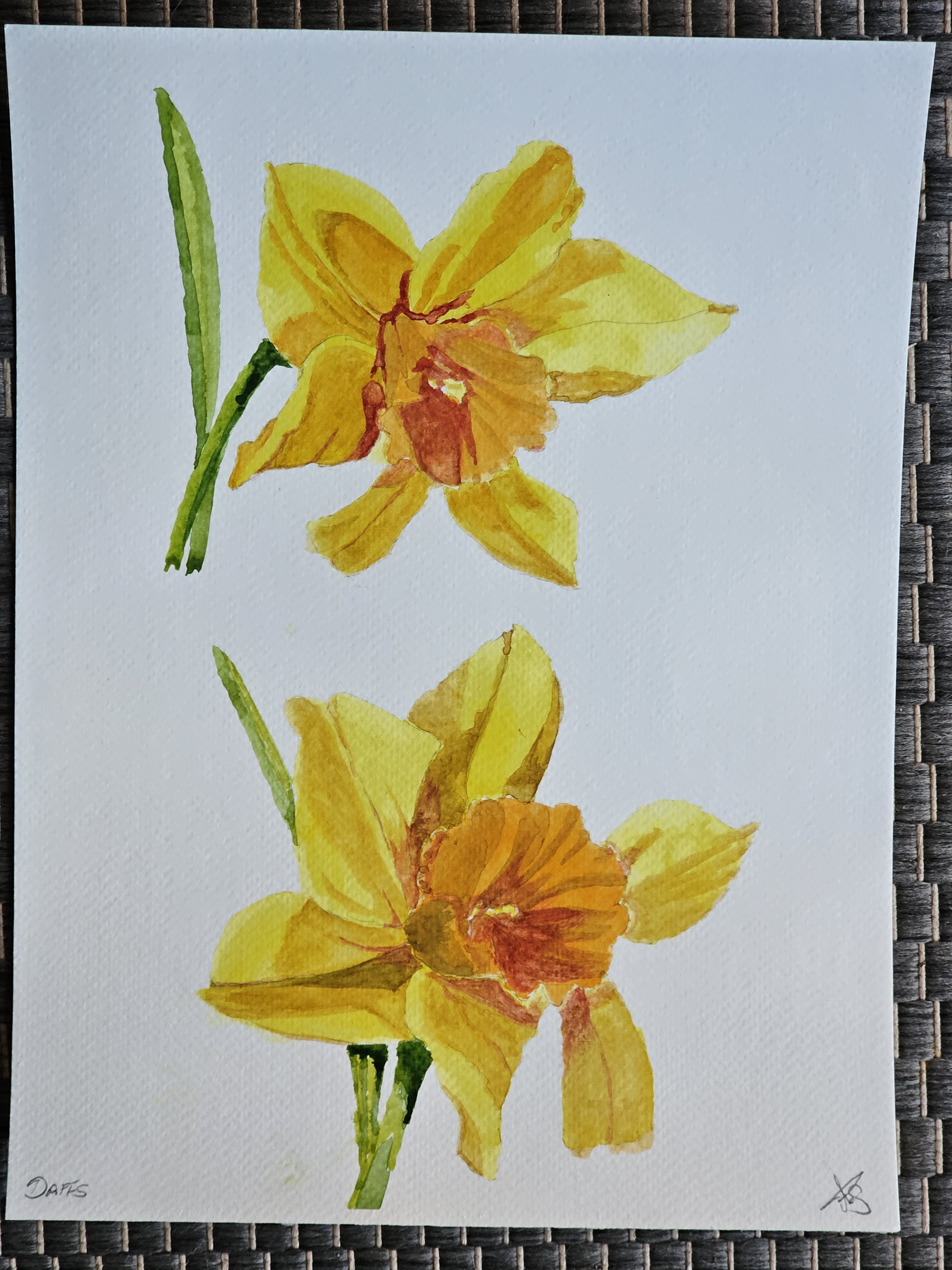 Daffs