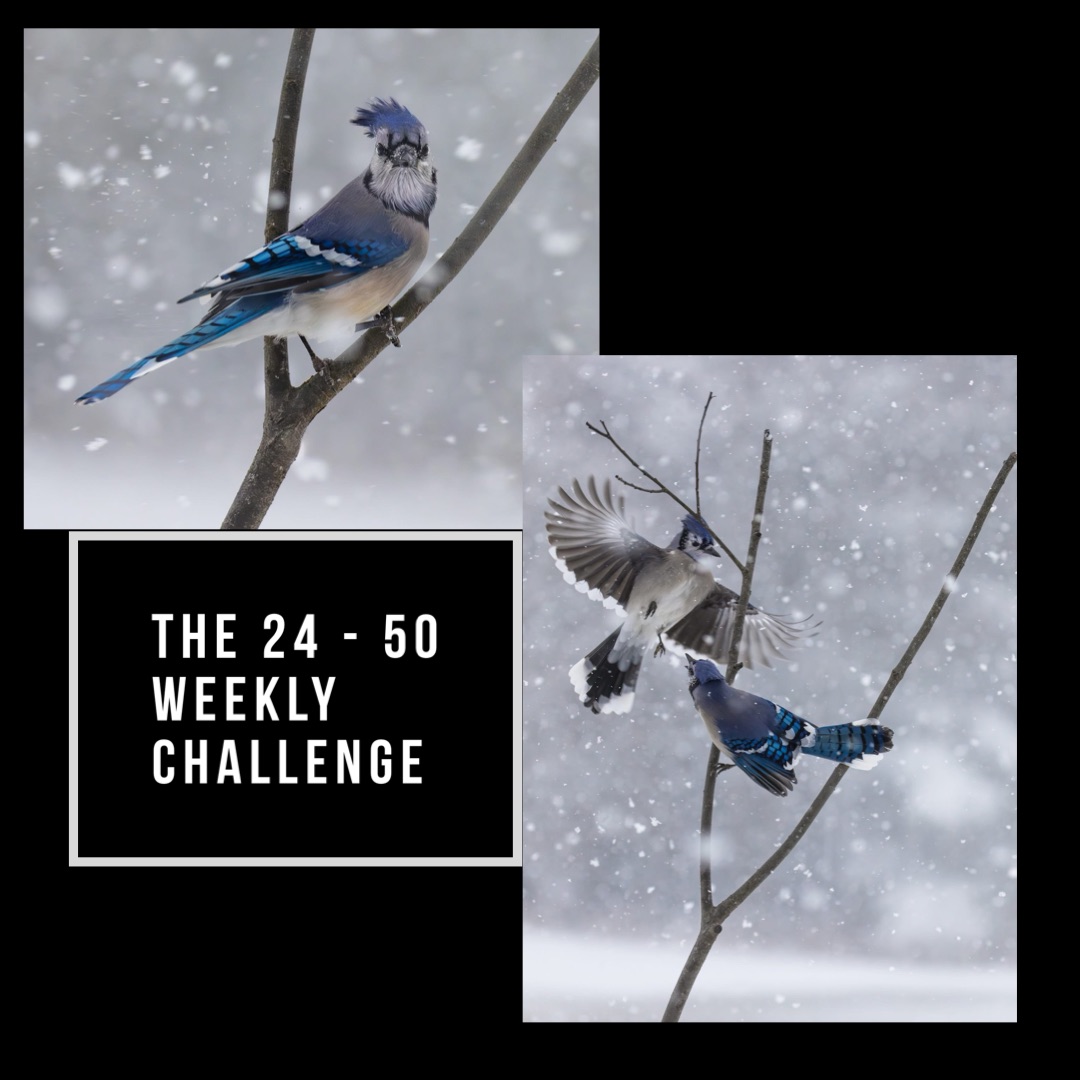 Challenge
