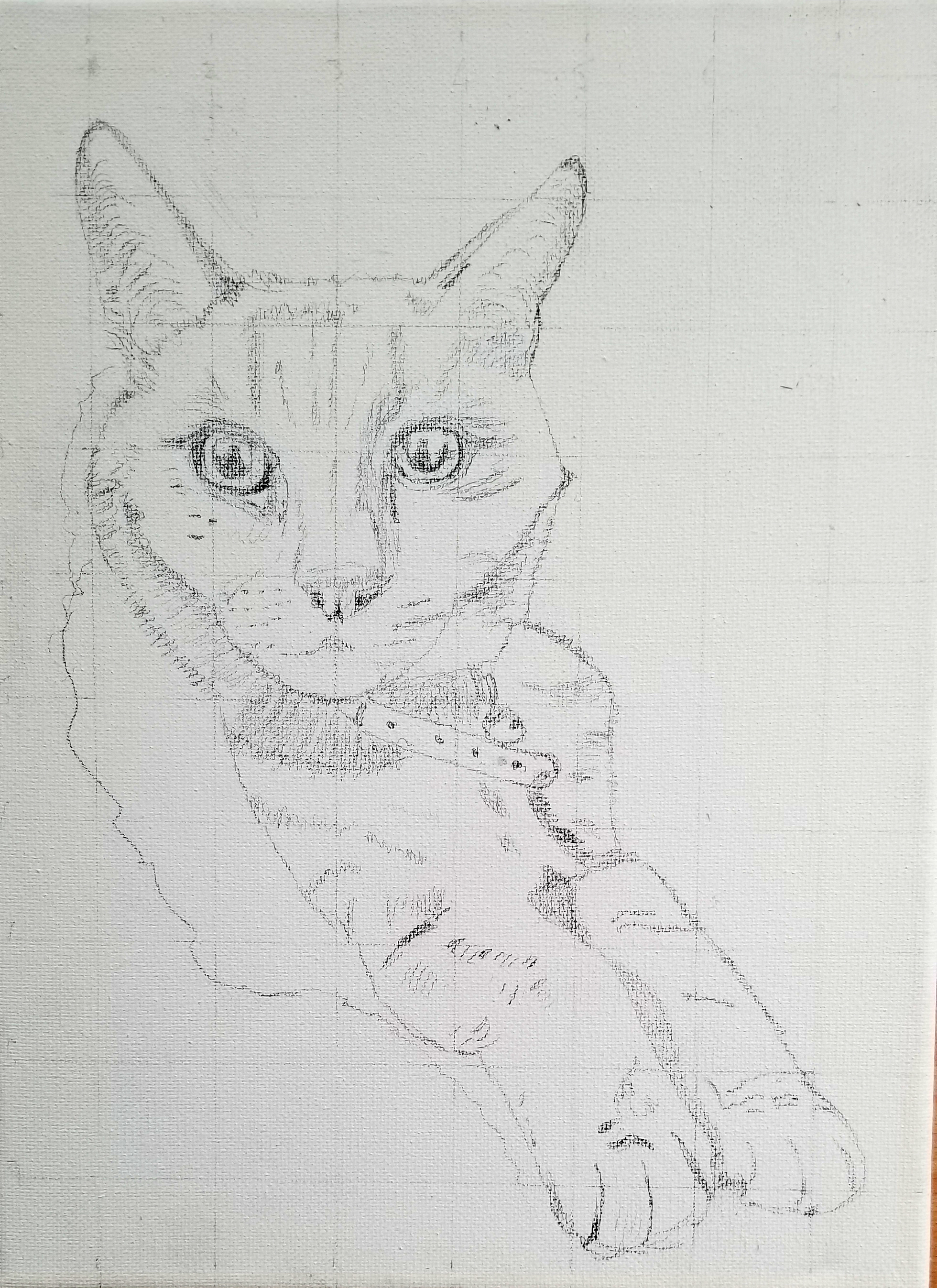 Sketch