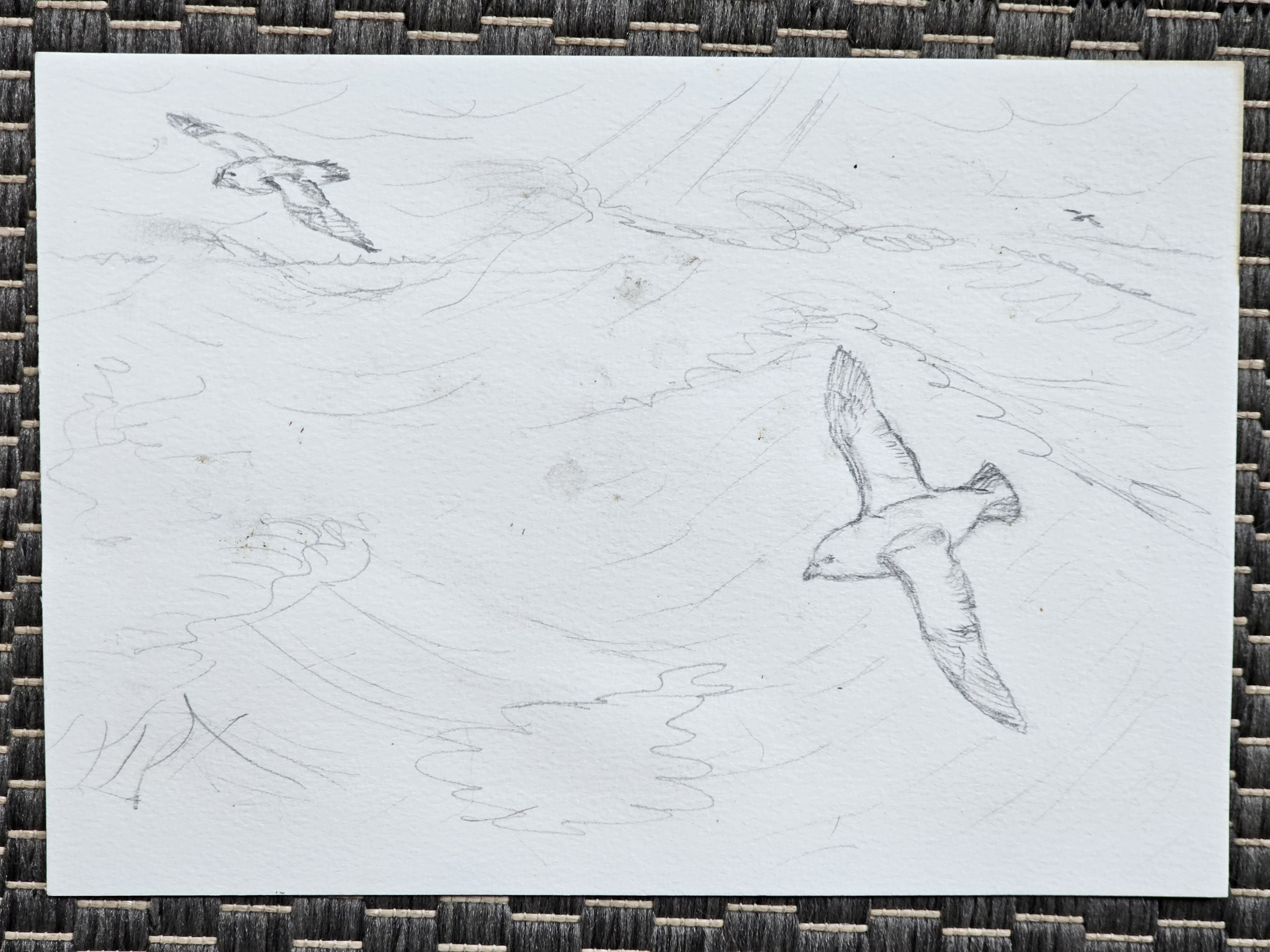 Sketch