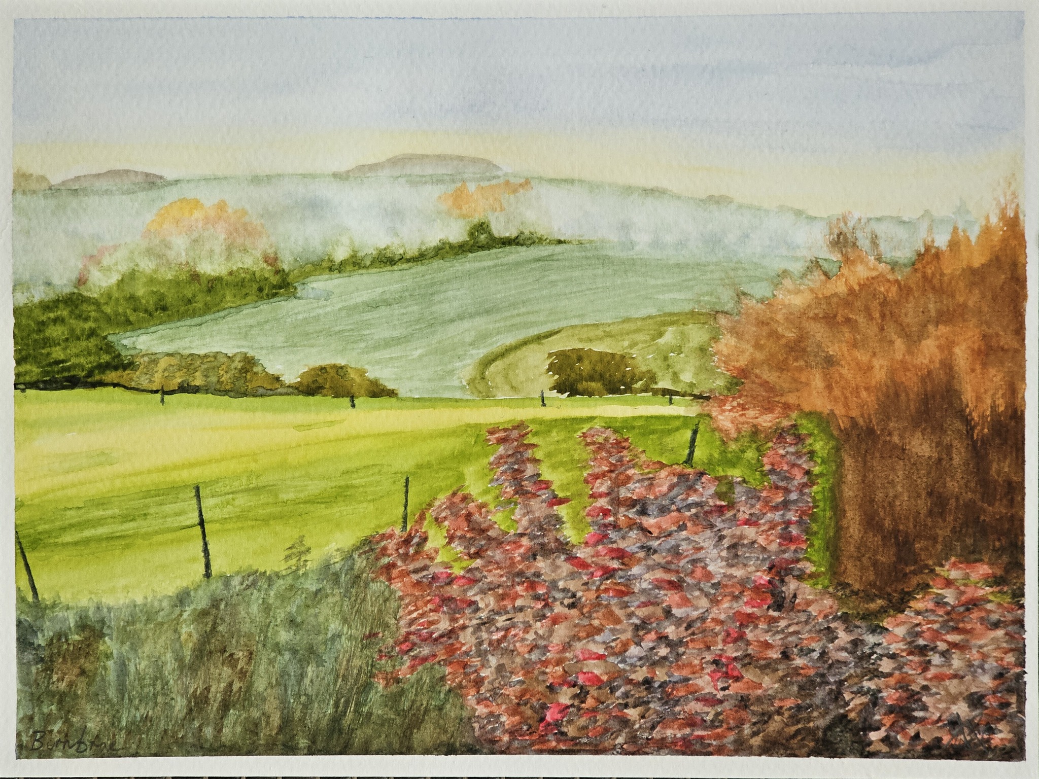 Burnbrae No 1