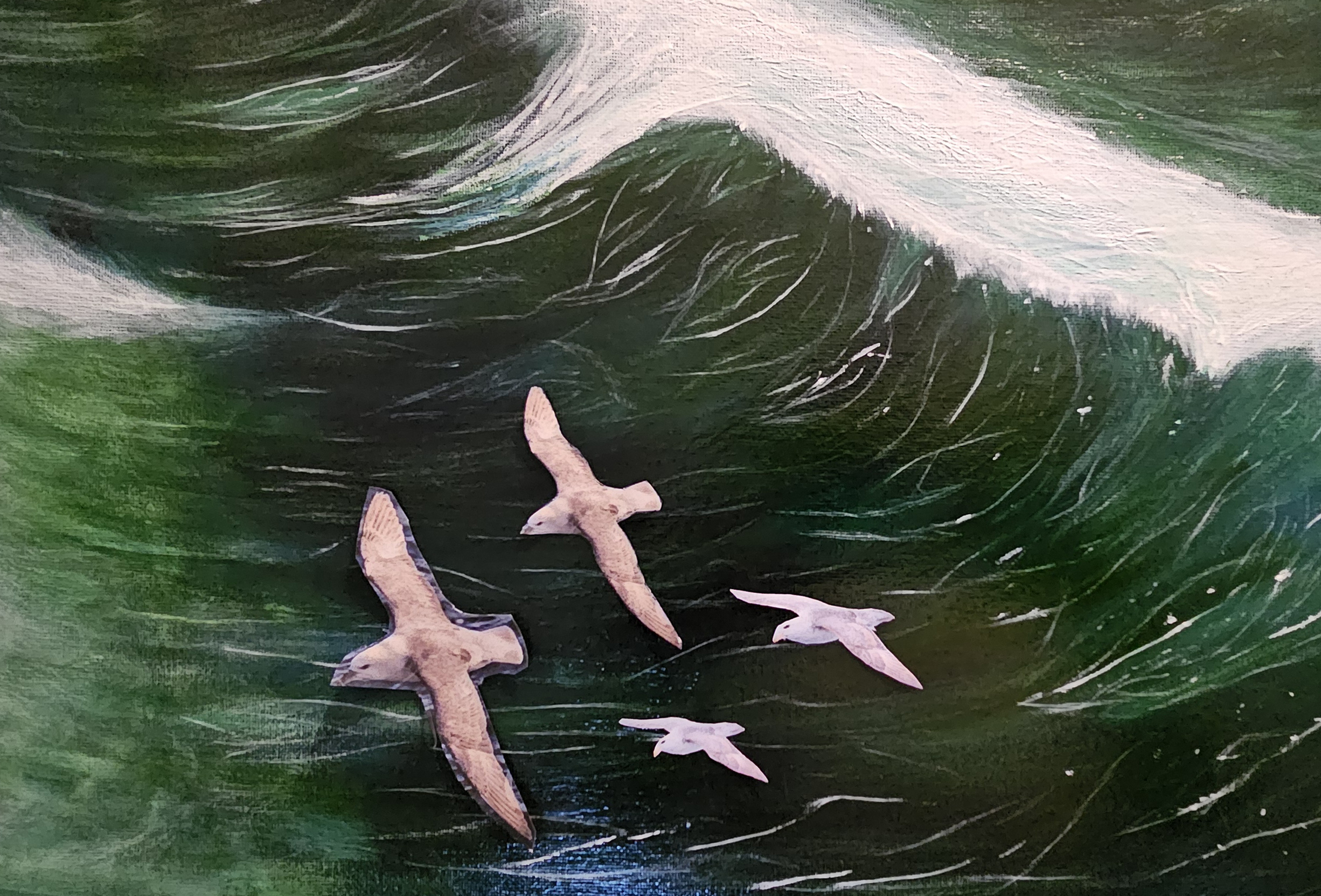 Testing position, scale and attitude of fulmars