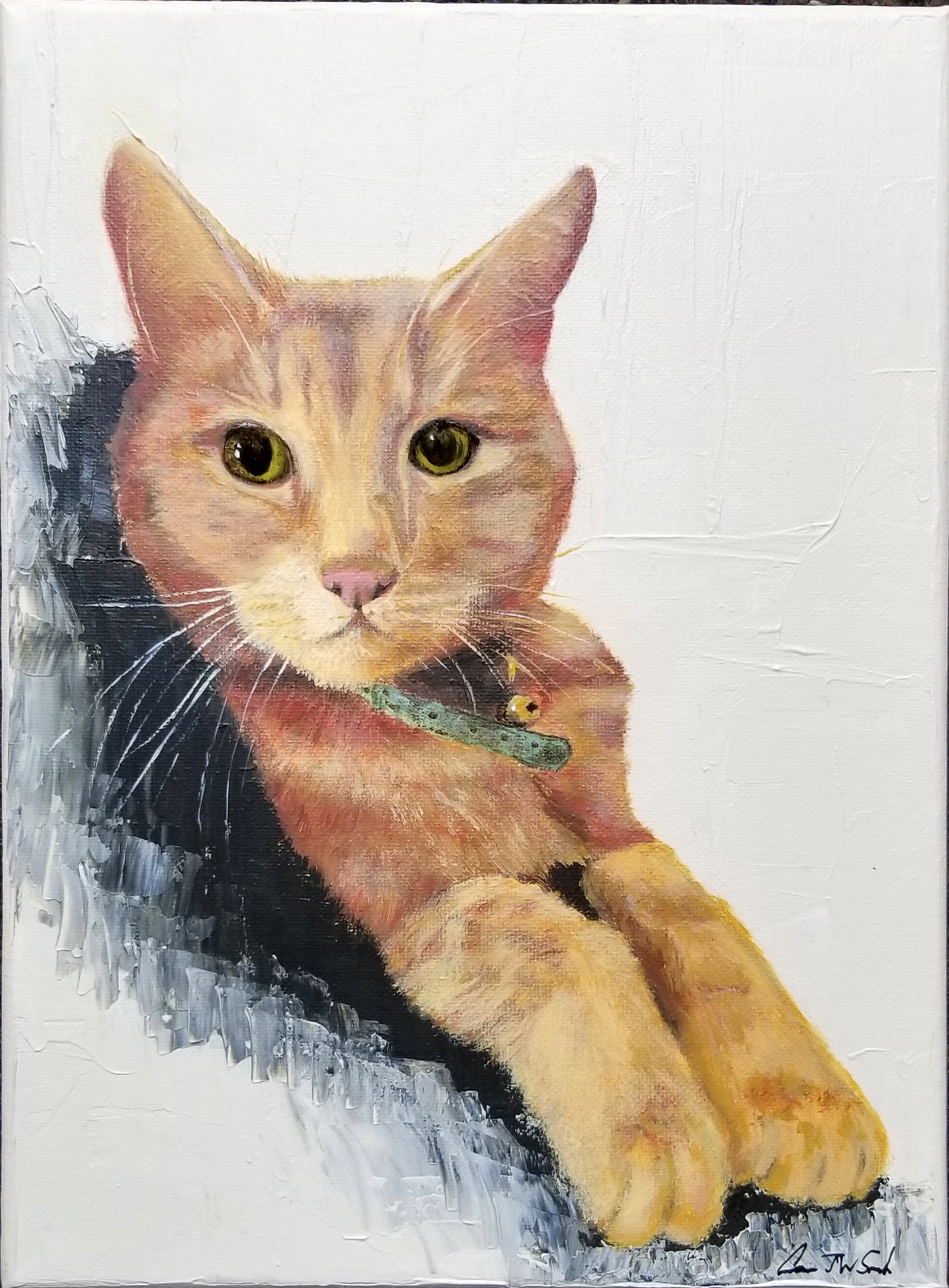 Charlie the Cat