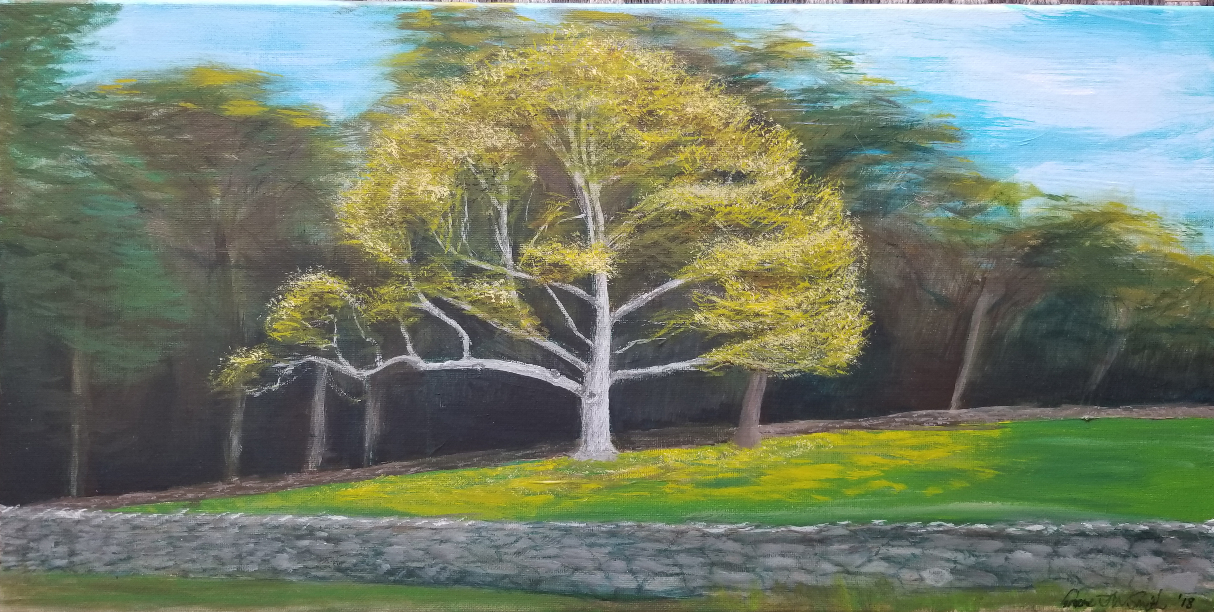 The Tree