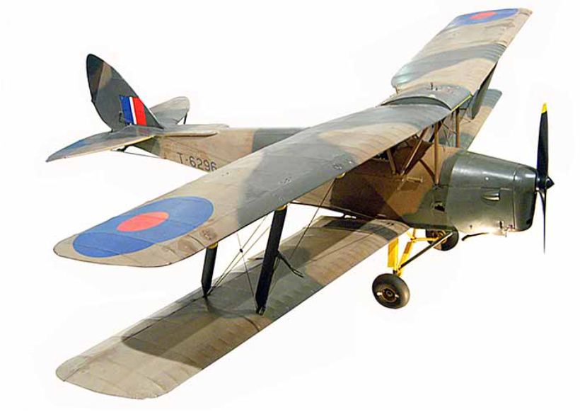 Tiger Moth